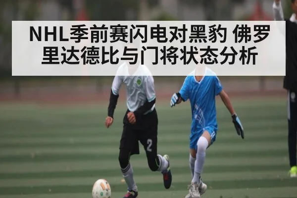 NHL季前赛闪电对黑豹 佛罗里达德比与门将状态分析